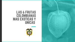 Las 6 frutas colombianas más exóticas y únicas